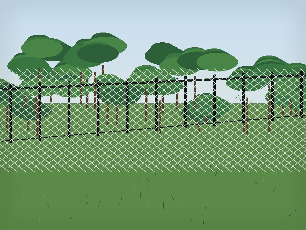 Chain link fence & enclosures